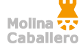 Logo MolinaCaballero en Hostgreen